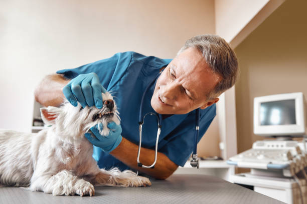 Best Emergency Dentist for Special Needs Patients in Glen Ridge, NJ